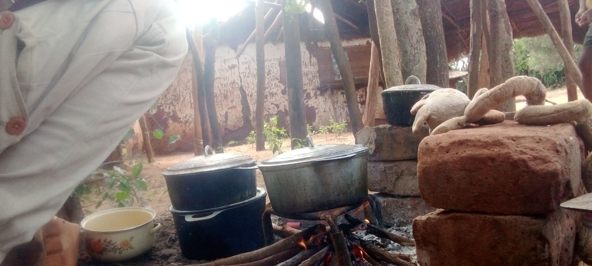 Hazo ripaka isantaona handrahoana sakafo